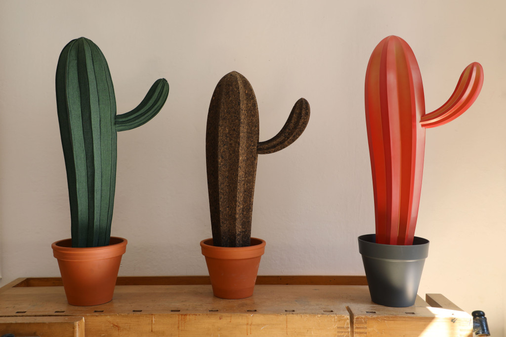 Cacti