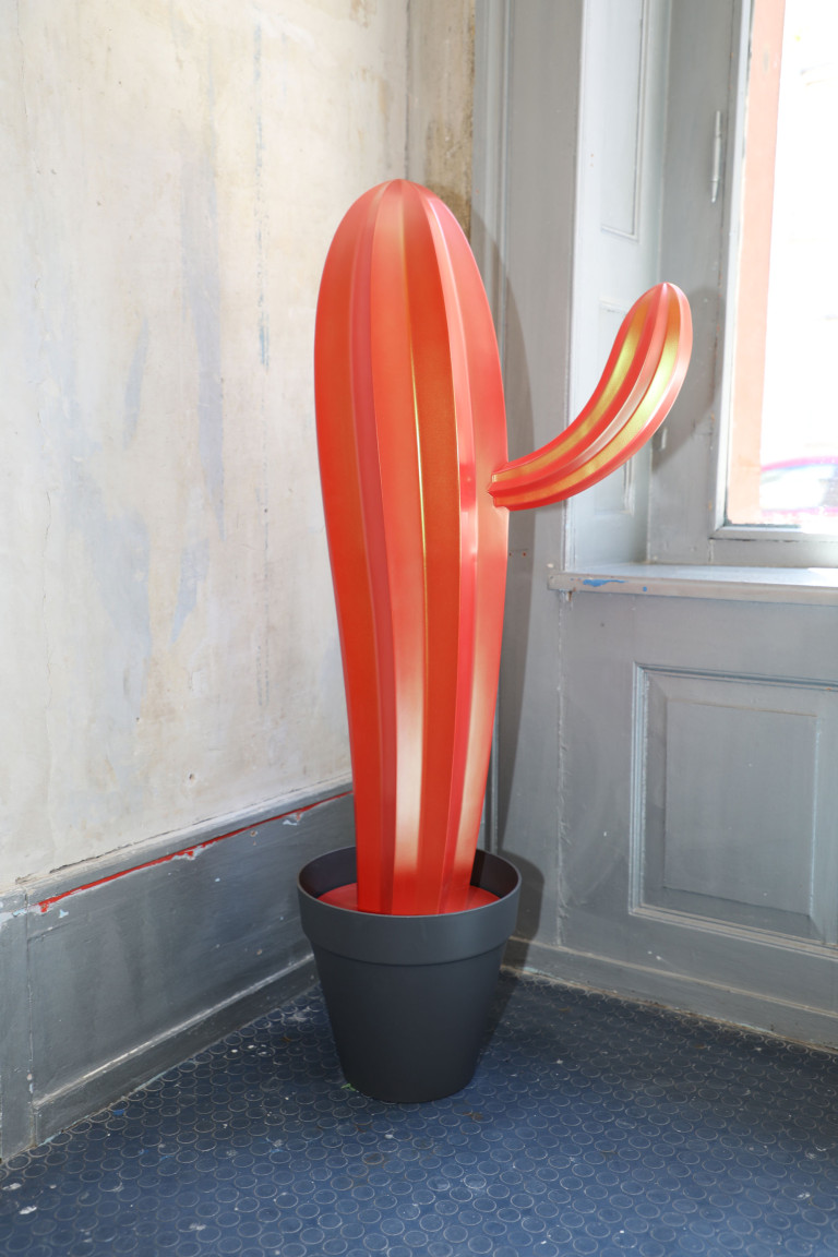 Cacti