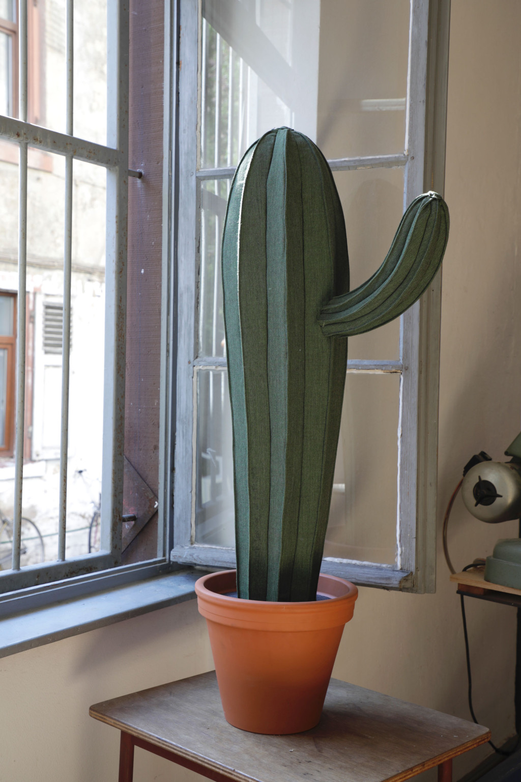 Cacti