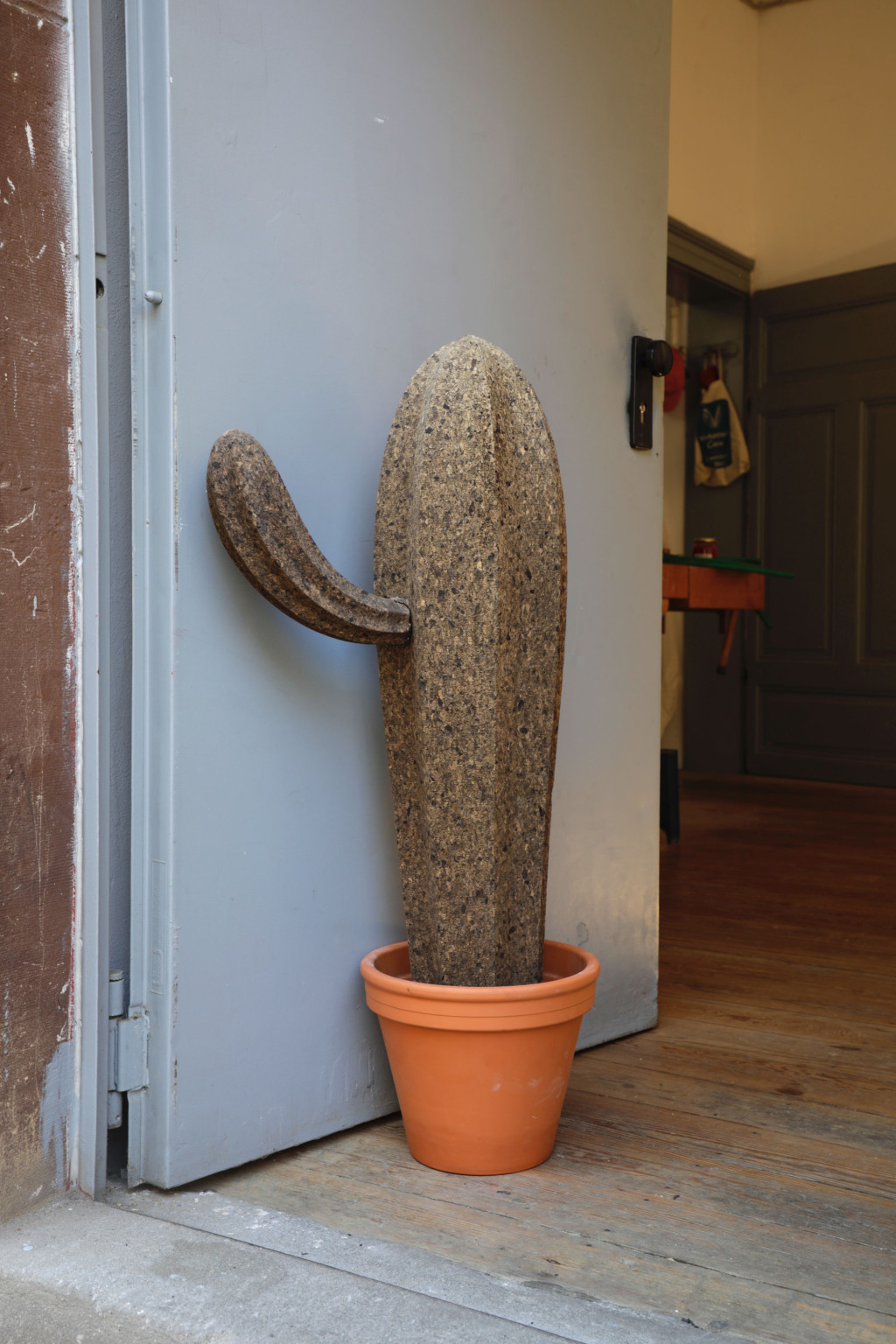 Cacti