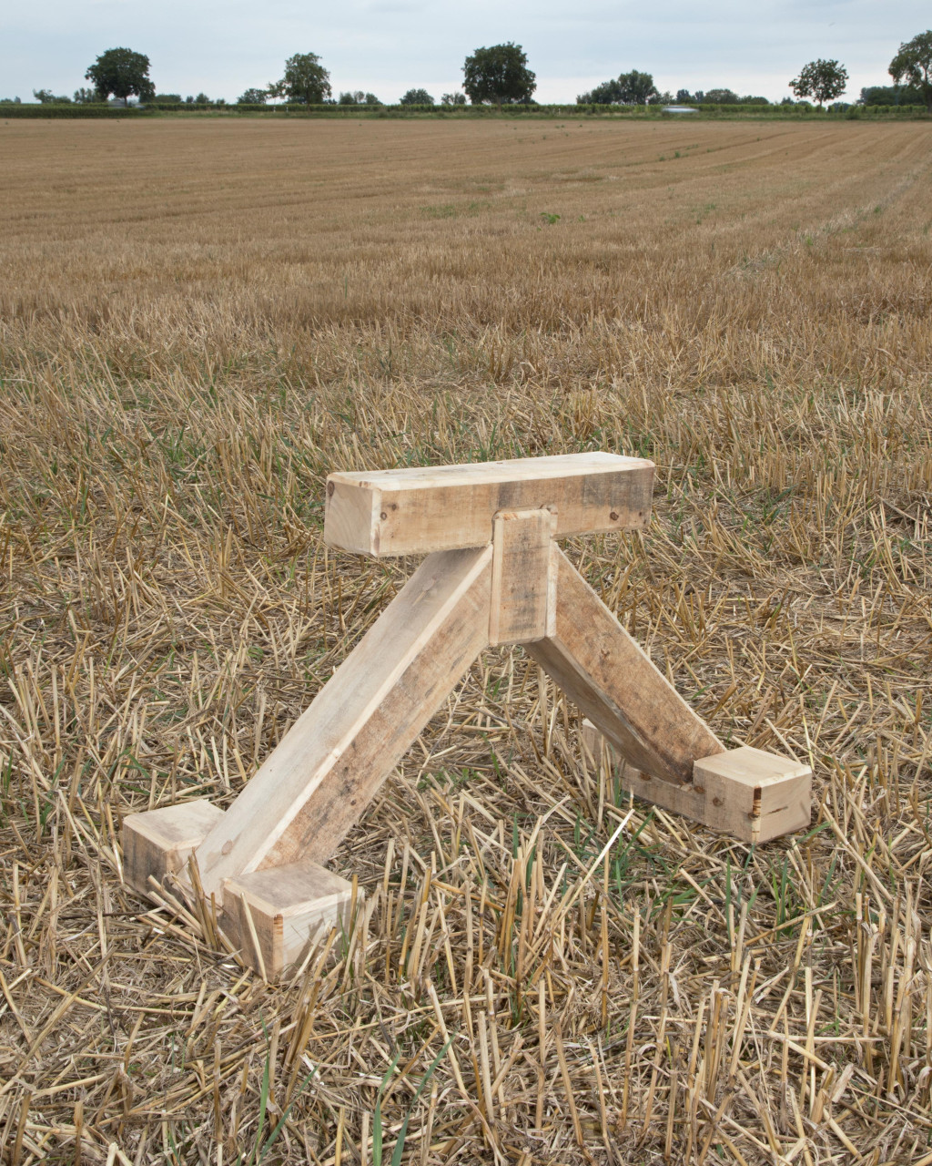 Well Seasoned Firewood